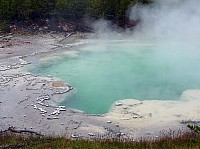 Yellowstone Norris Geyser (10).JPG